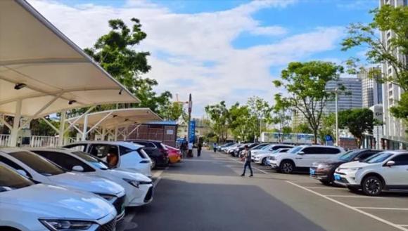 lái xe, xe điện, xe xăng, xe ô tô