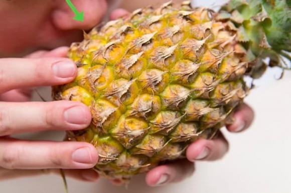 Chọn dứa ngon, mẹo hay, kiến thức