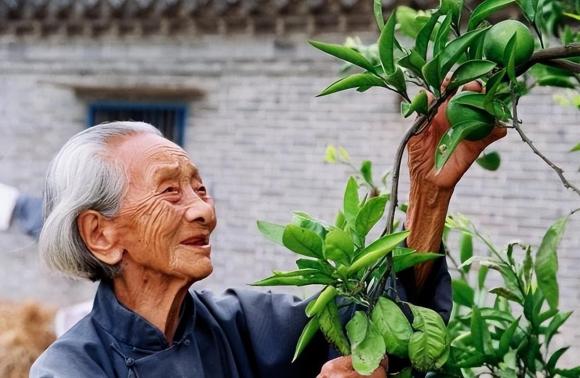người cao tuổi, người già sống thọ, làm thế nào để sống thọ