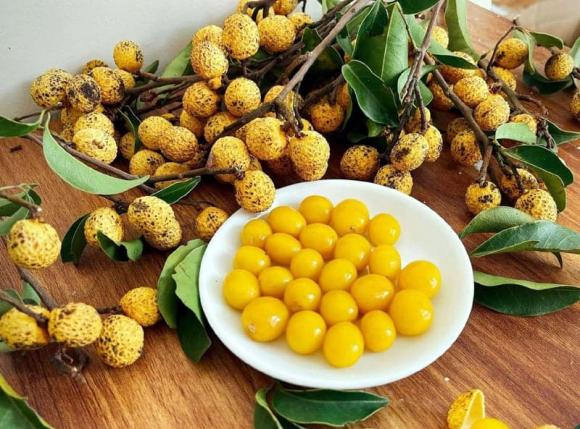 Nhãn rừng, tác dụng của nhãn rừng, giá nhãn rừng