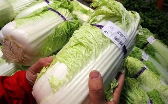Cải thảo, mẹo chọn cải thảo ngon, cách nhận biết 2 loại cải thảo