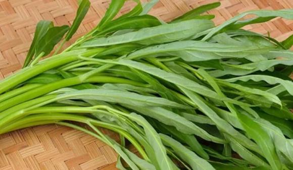 Rau mùa hè, rau muống, rau dền, rau mồng tơi