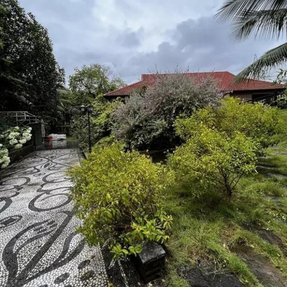 NSND Xuân Bắc, sao Việt