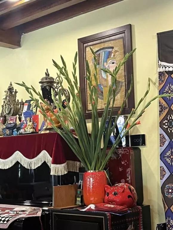 NSND Xuân Bắc, sao Việt