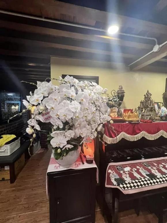 NSND Xuân Bắc, sao Việt