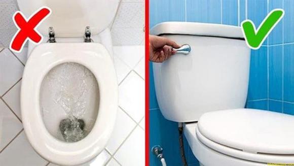 đậy nắp bồn cầu, kiến thức, sức khỏe