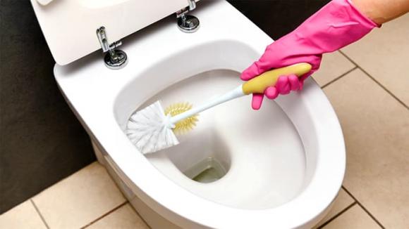 đậy nắp bồn cầu, kiến thức, sức khỏe