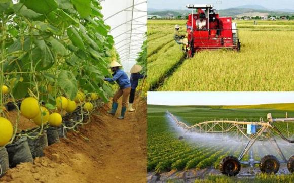 Đất nông nghiệp, đền bù đất nông nghiệp, quy định mới về đất nông nghiệp