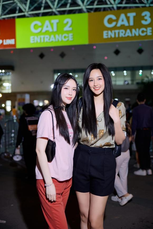 Mai Phương Thuý, sao Việt 