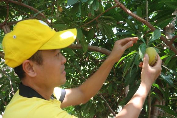 khởi nghiệp, trà lekima, trà từ quả trứng gà, kiến thức 