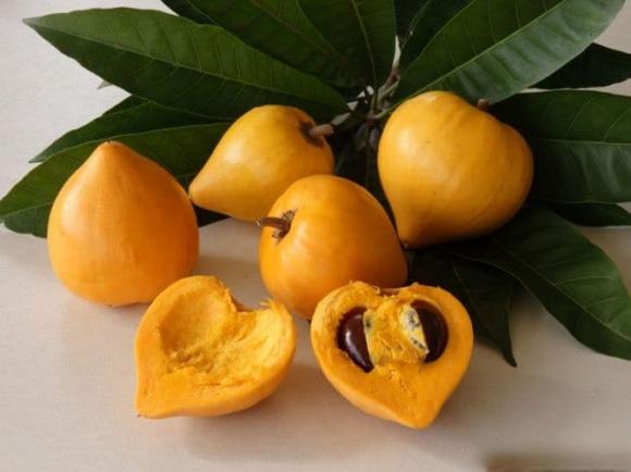 khởi nghiệp, trà lekima, trà từ quả trứng gà, kiến thức 