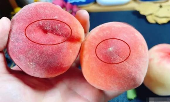 quả đào, kiêng kỵ khi ăn đào, thực phẩm không ăn chung với đào