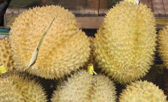 sầu riêng, chọn mua sầu riêng, mua sầu riêng, 