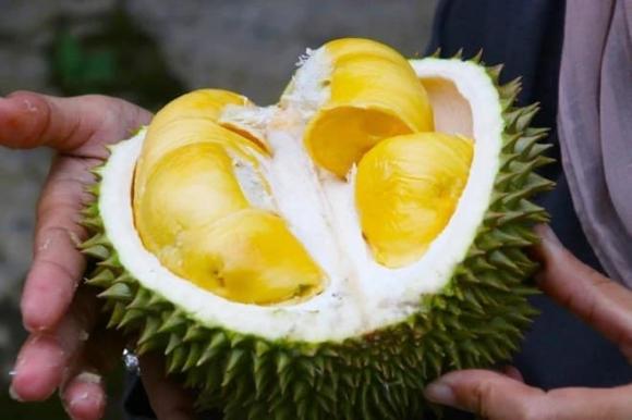 sầu riêng, chọn mua sầu riêng, mua sầu riêng, 