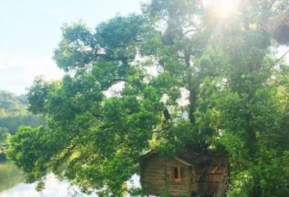 câu nói của người xưa, câu nói ý nghĩa, câu nói của cổ nhân