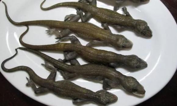 núi bà đen thờ ai, núi bà đen ở đâu, núi bà đen
