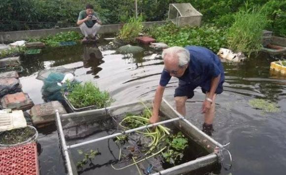 ao cá, ao cá trên nóc nhà, ao cá ở Hải Dương 