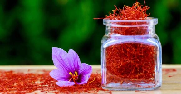 Nhuỵ hoa nghệ tây, saffron, tác dụng của nhuỵ hoa nghệ tây