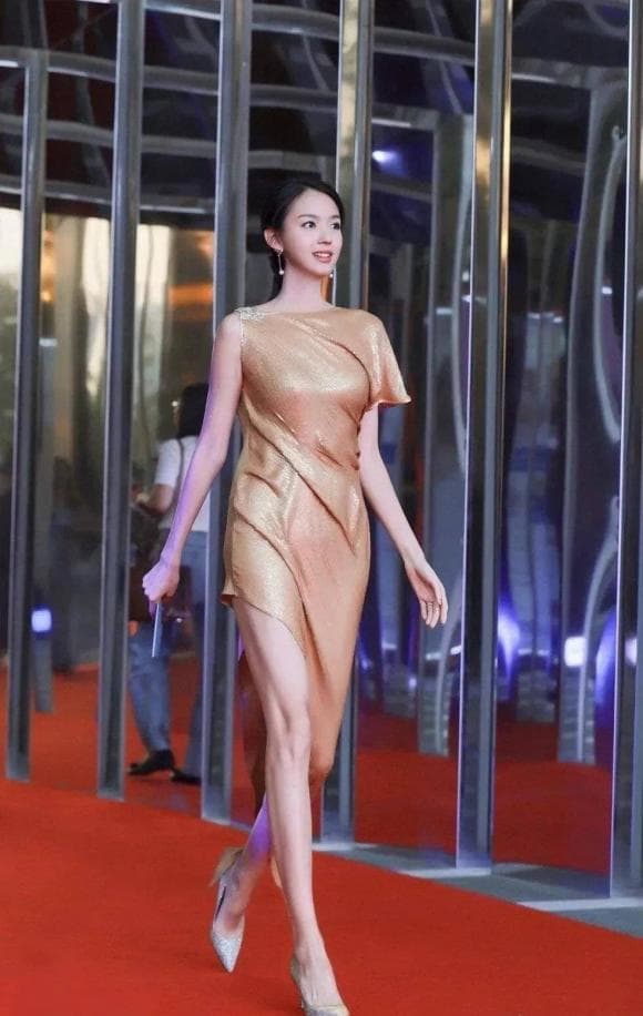 Trương Tử Lâm, Hoa hậu Thế giới, sao Hoa ngữ