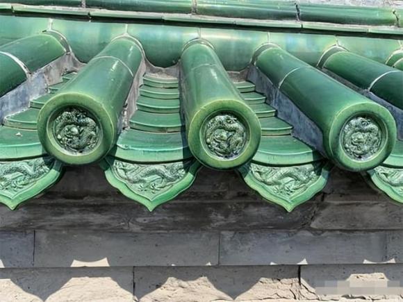 Tử Cấm Thành, chim ị