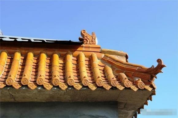Tử Cấm Thành, chim ị