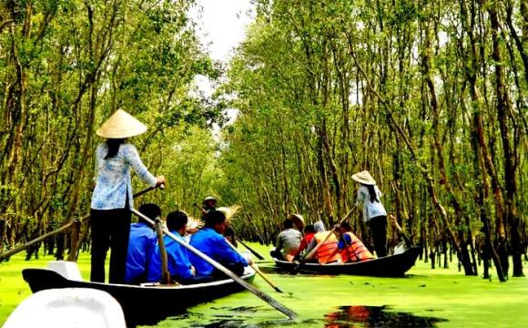 Cầu tre vạn bước, cầu tre dài nhất Việt Nam, Rừng tràm Trà Sư