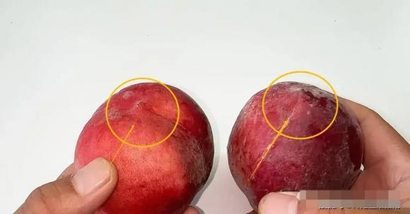 quả đào, bảo quản đào, mua đào