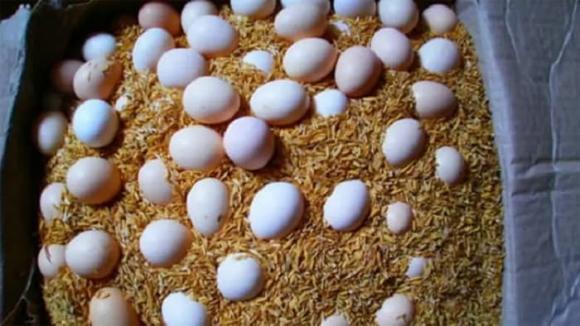 Trứng, Bảo quản trứng, mẹo hay