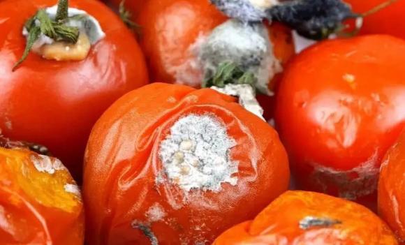 cà chua, cà chua ngon, mẹo vặt gia đình
