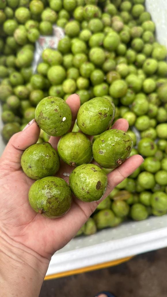 sấu ngâm đường, cách làm sấu ngâm đường, món ngon 