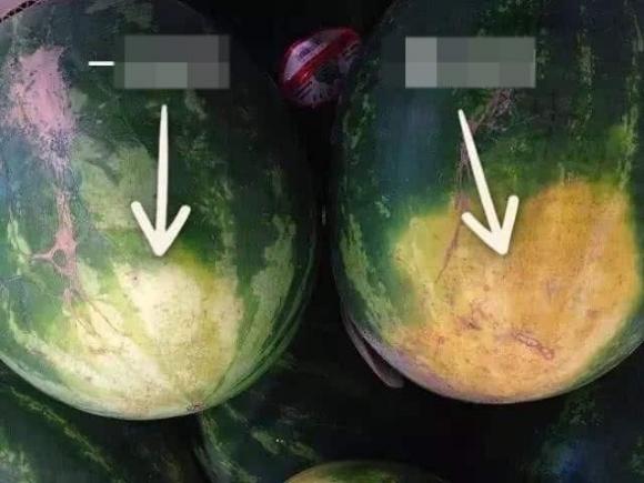 dưa hấu, chọn mua dưa hấu