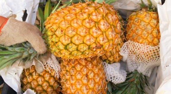 lưu ý khi mua dứa, mua dứa mùa hè, mua dứa đúng cách