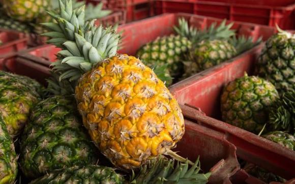 lưu ý khi mua dứa, mua dứa mùa hè, mua dứa đúng cách