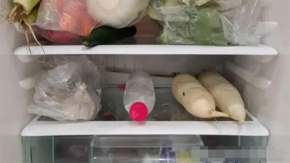 cuộn giấy, tủ lạnh, tiết kiệm điện