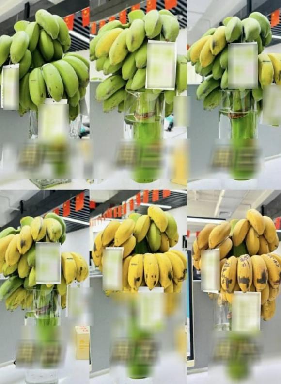 chữa lành, bán chuối xanh, xu hướng chữa lành, giới trẻ 
