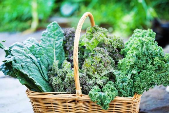 bắp cải, cải xoăn, rau ngậm nhiều hóa chất