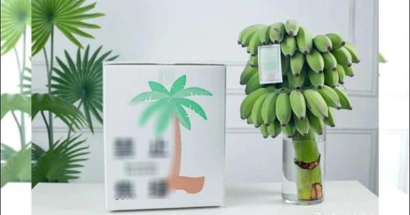 chữa lành, bán chuối xanh, xu hướng chữa lành, giới trẻ 