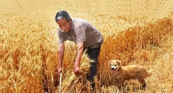 Đàn ông sợ tháng tám, đàn bà sợ tháng mười hai âm lịch