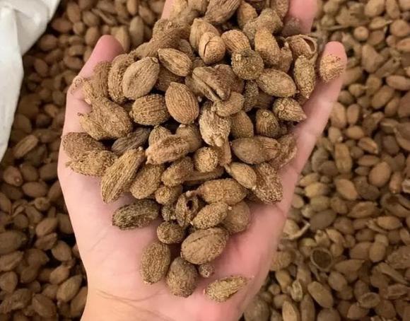 Thịt kho tộ, Thịt kho tàu, dạy nấu ăn