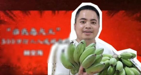 chữa lành, bán chuối xanh, xu hướng chữa lành, giới trẻ 