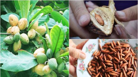 Côn đảo, côn đảo lọt top thế giới