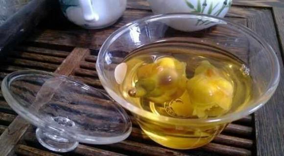 Hoa trà vàng, hoa trà, hoa vàng thực vật