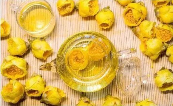 Hoa trà vàng, hoa trà, hoa vàng thực vật