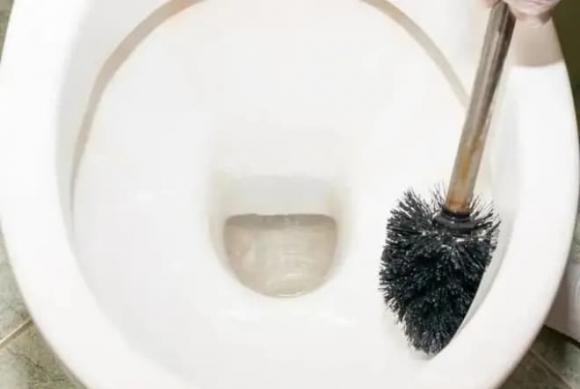 nhà tắm, 4 thứ không nên bỏ vào nhà tắm, Bàn chải toilet đầu cứng