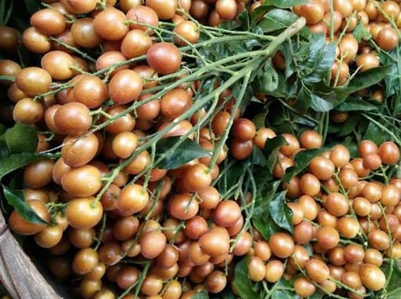 quất hồng bì, mứt quất hồng bì, món ngon mỗi ngày 