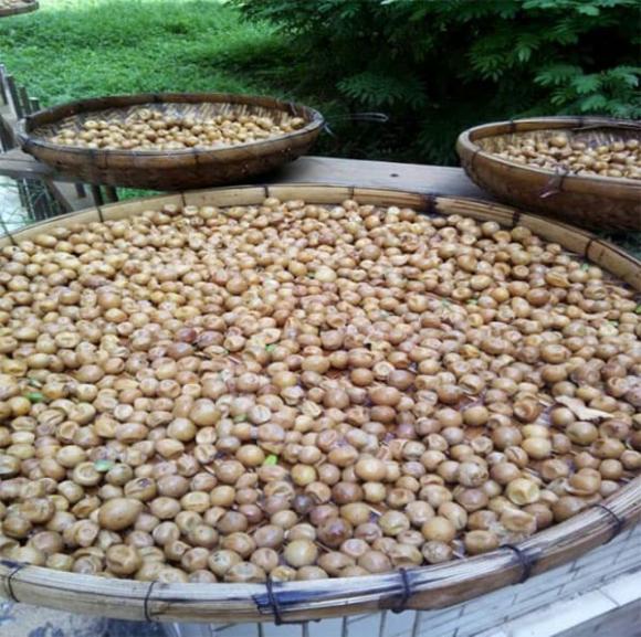 quất hồng bì, mứt quất hồng bì, món ngon mỗi ngày 