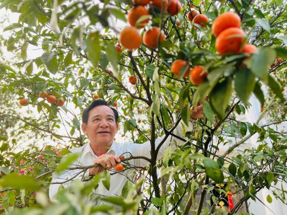 nghệ sĩ Quang Tèo, sao Việt