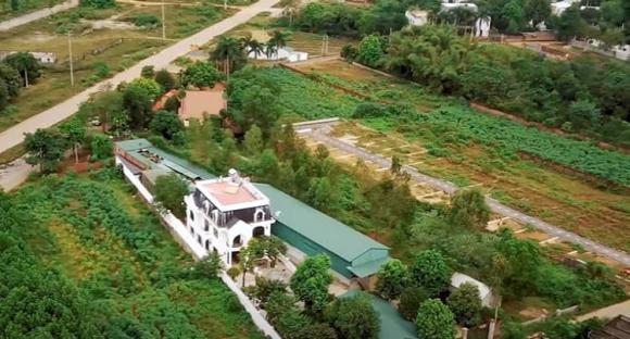 nghệ sĩ Quang Tèo, sao Việt