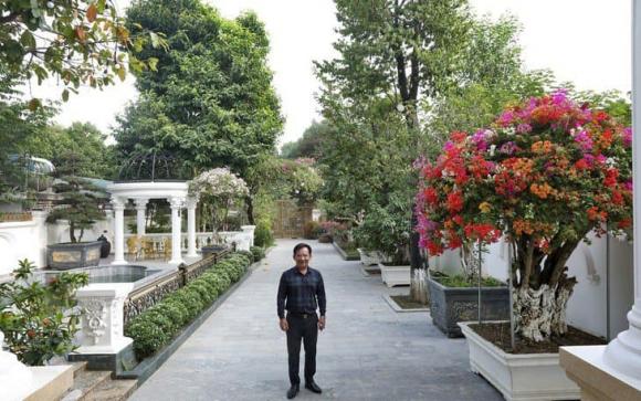 nghệ sĩ Quang Tèo, sao Việt