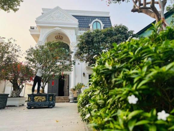 nghệ sĩ Quang Tèo, sao Việt